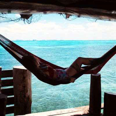 thethiccmiss thumbnail