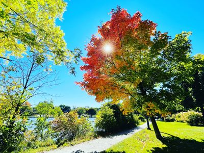 Marina Zen thumbnail