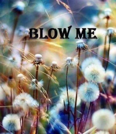 scarletkey thumbnail