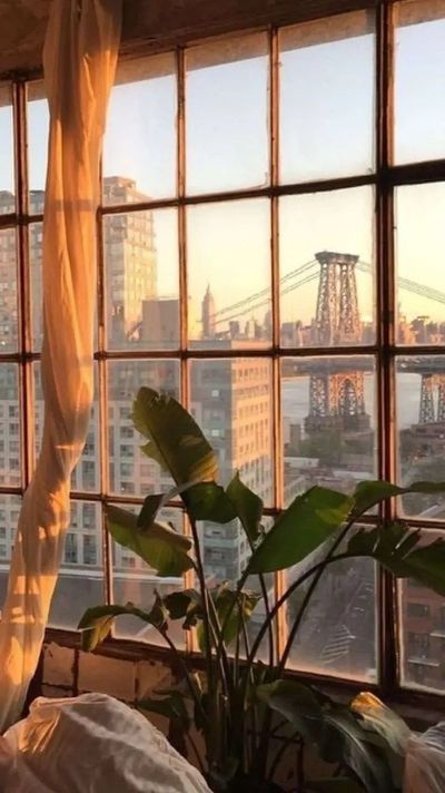 soniabrambilla thumbnail