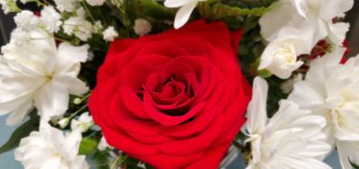 Lady Effie thumbnail