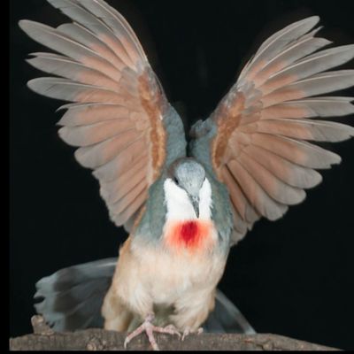 sloanesinclair thumbnail