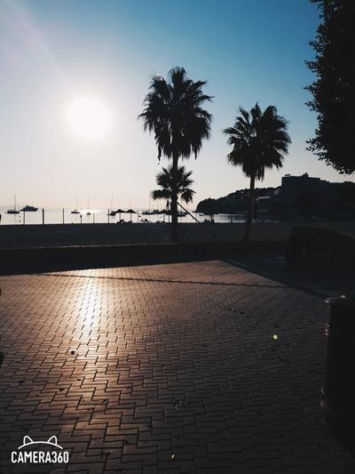 thejohnnyblack thumbnail