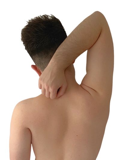 lahormiguitak thumbnail