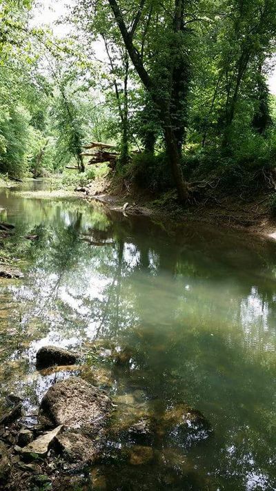 ky_chocolate thumbnail