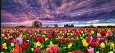 u214179392 thumbnail