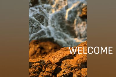 littlemiss_honeypot thumbnail