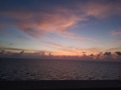 whiskeynight thumbnail