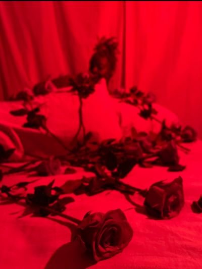 mahoganygoddess8 profile