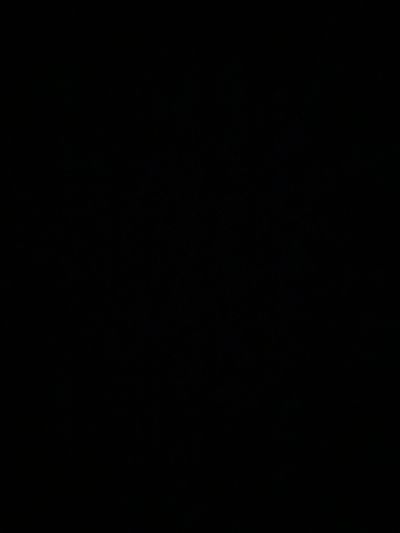 1xannifromda.G profile