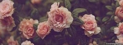 babytee123 thumbnail