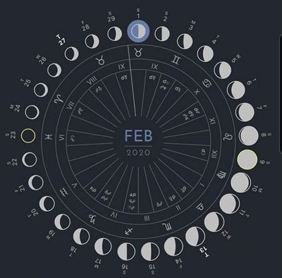 pokapisces thumbnail