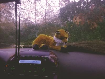 Pup Andy (He/they) thumbnail