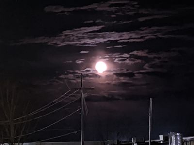 venus_darling thumbnail