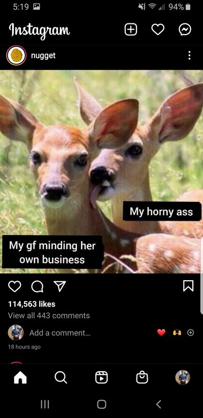 cammrplease thumbnail