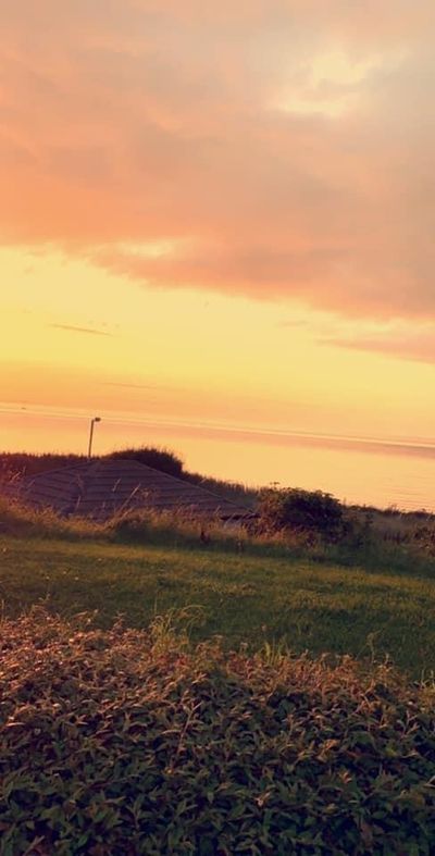 manofmystery15 thumbnail