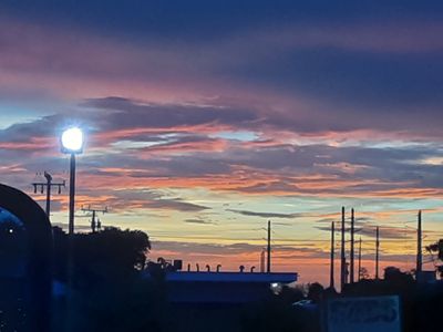 gingerstings88 thumbnail