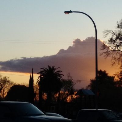 Jerry Morrison thumbnail