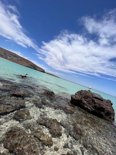 harleymexican thumbnail