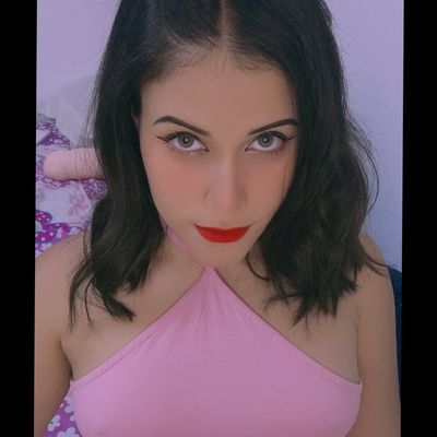 sheccidegmenteri profile