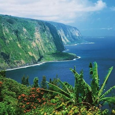 shadowskai thumbnail