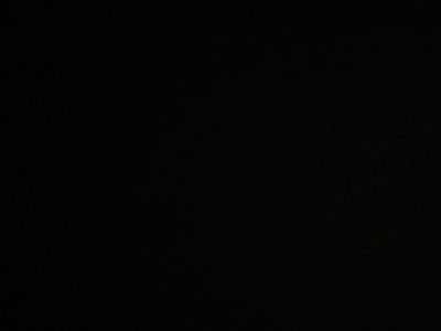 spicegurlwitdafatty thumbnail