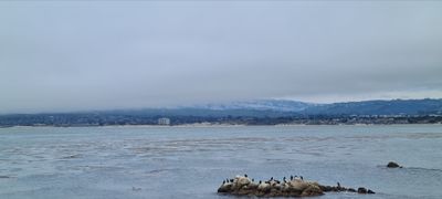 bigjonny808 thumbnail