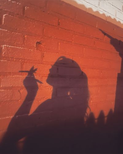 arachnidaspen thumbnail