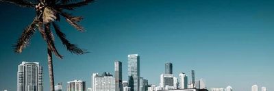 xavierxion thumbnail