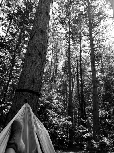 nikkistarz420 thumbnail