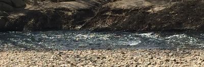 ljhthecatsmeow thumbnail