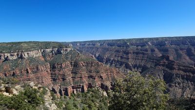 ladlefritz thumbnail