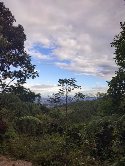 brinconcita thumbnail