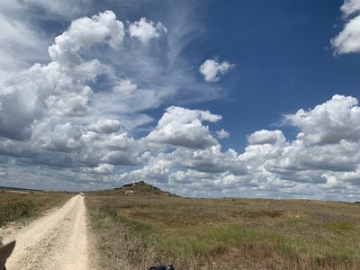 theothegrape thumbnail