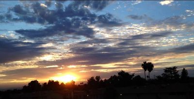 marieislas thumbnail