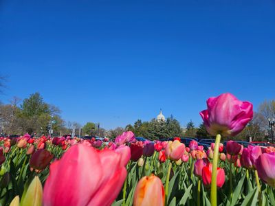 elcaballo1986 thumbnail