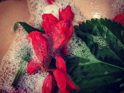 Dirty bunny thumbnail