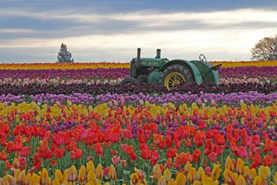 friskymellyb thumbnail