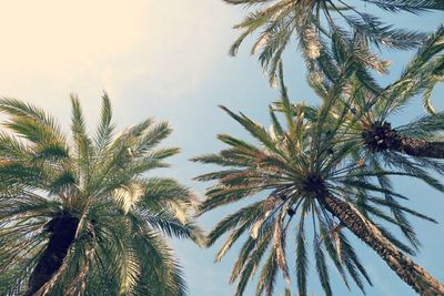 Tootiee🥵 thumbnail