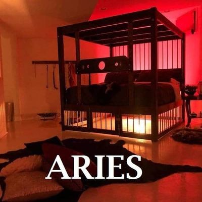 warrior_wolf thumbnail