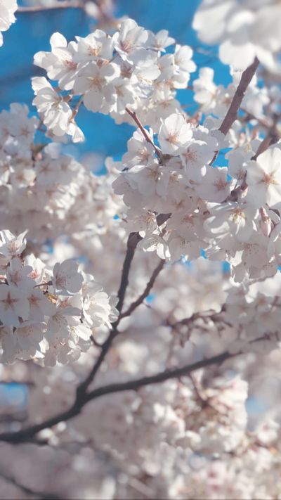 leafiibaby thumbnail