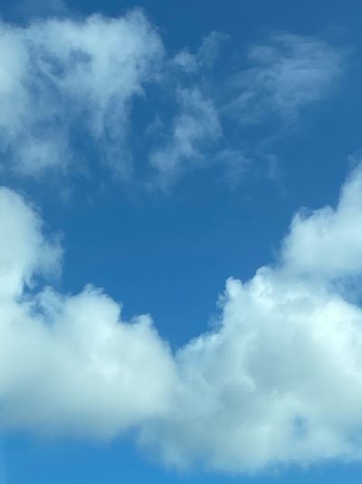 cassandratapia thumbnail