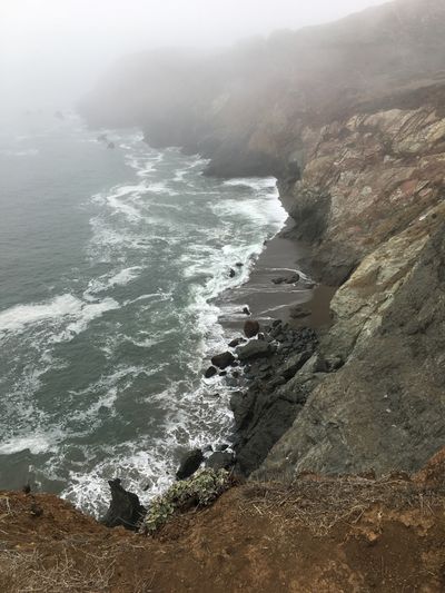 efil4tespid thumbnail