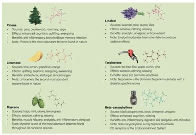 daddydub69 thumbnail