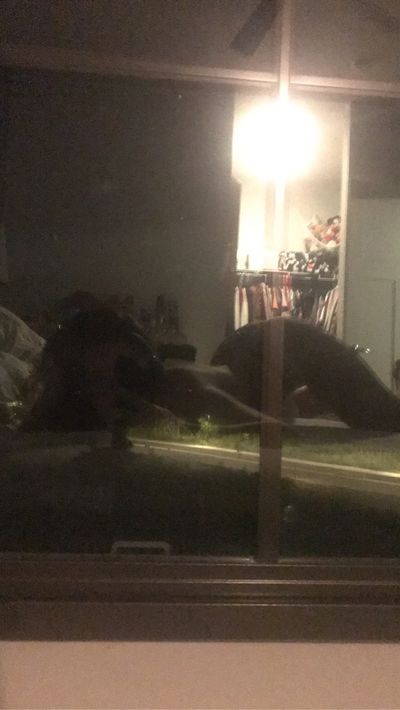 kittenfatale thumbnail