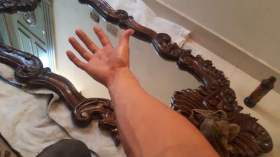 plomerovergudo thumbnail