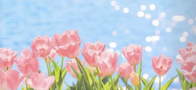 ang4lheart thumbnail