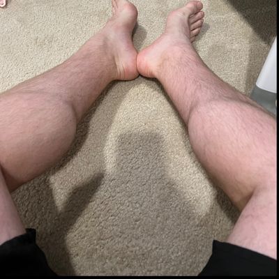 English Calves thumbnail