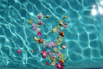 thenakedcheatday thumbnail