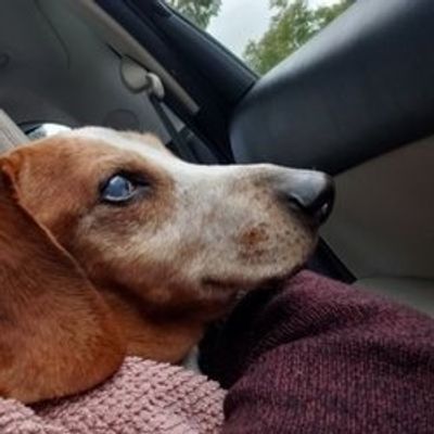 ivanjachenoff profile